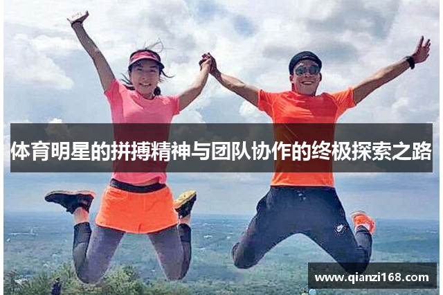 体育明星的拼搏精神与团队协作的终极探索之路